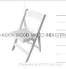 Folding Resin Chair (AX-BF-WO)