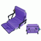 Camping Chair (66081)