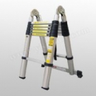 Telescopic Ladder (KX2761)