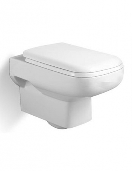 Wall - hung toilet bowl