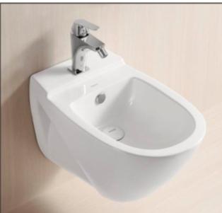 Wall - hung toilet bowl