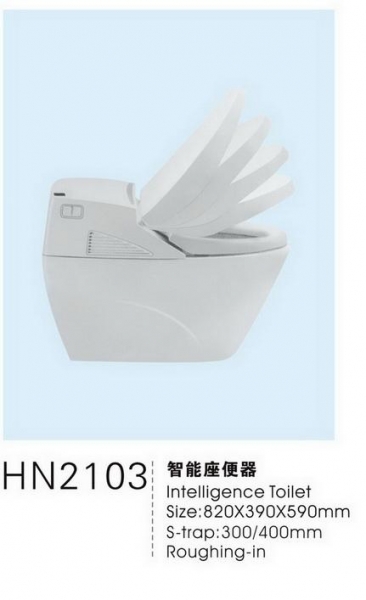 Smart toilet bowl - HN2103