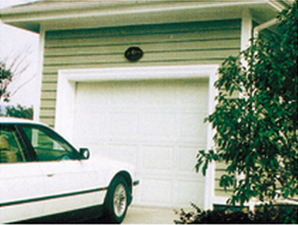 Auto Lift Garage Door