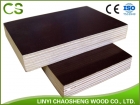 Film Faced Plywood (FFP08)