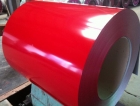 Prepainted Steel Coil (PSC003)