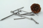 Common Wire Nail