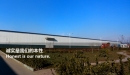 Shijiazhuang March Auto Parts Co., Ltd.