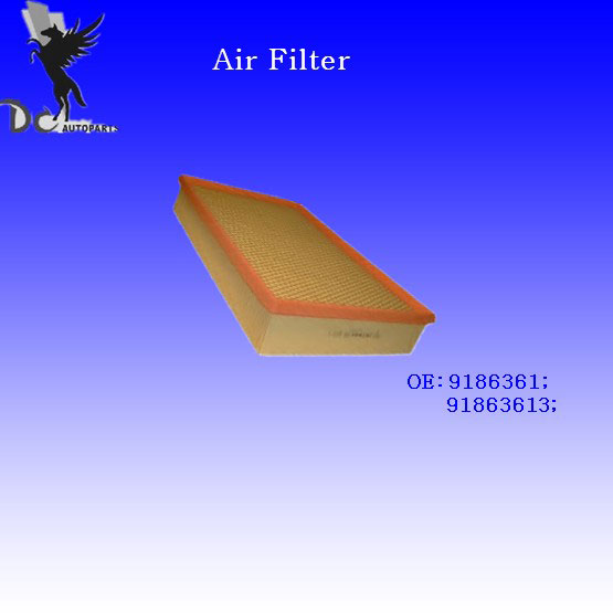 Air Filter (DCFA027)