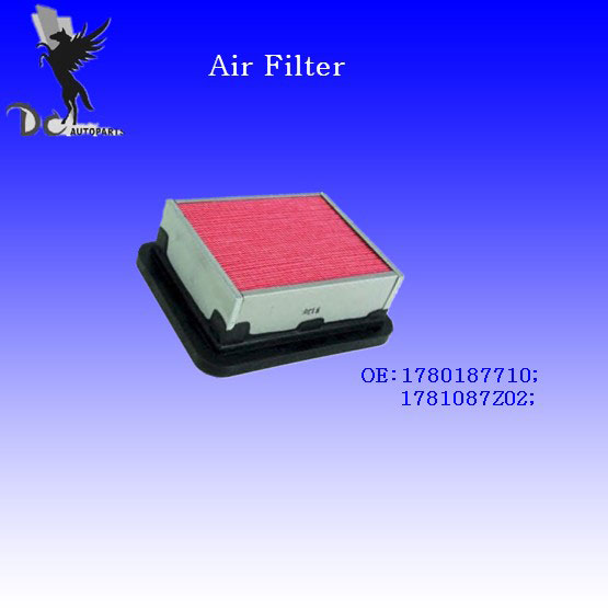 Air Filter (DCFA031)