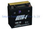 Motorcycle Battery