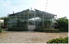 Plastic Building Material   (greenhouse 004)