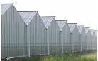 Plastic Building Material   (greenhouse 005)