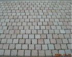 Paving Stone (CB009)