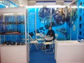 Wenzhou Lion Auto Electronics Co., Ltd.