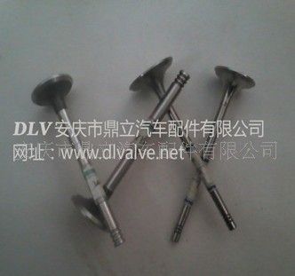 Exhaust Valve