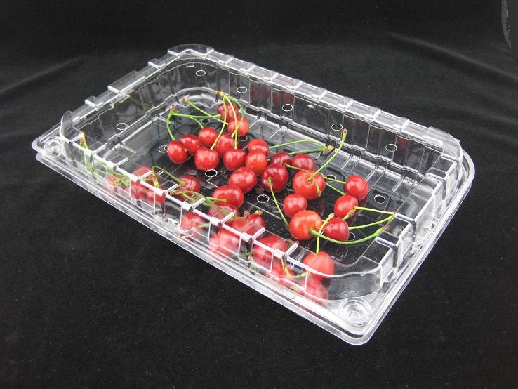 Plastic Trays