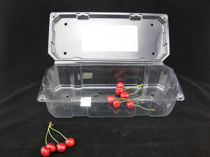 Plastic Trays