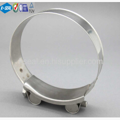 Heavy Duty Hose Clamp