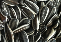 Sunflower Seeds-black sunflower seeds