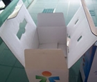 Corrugated carton box