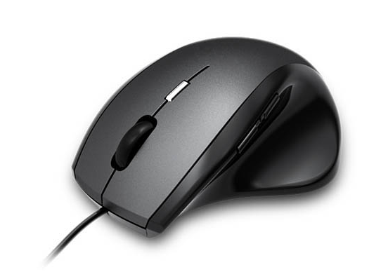 Computer Mouse