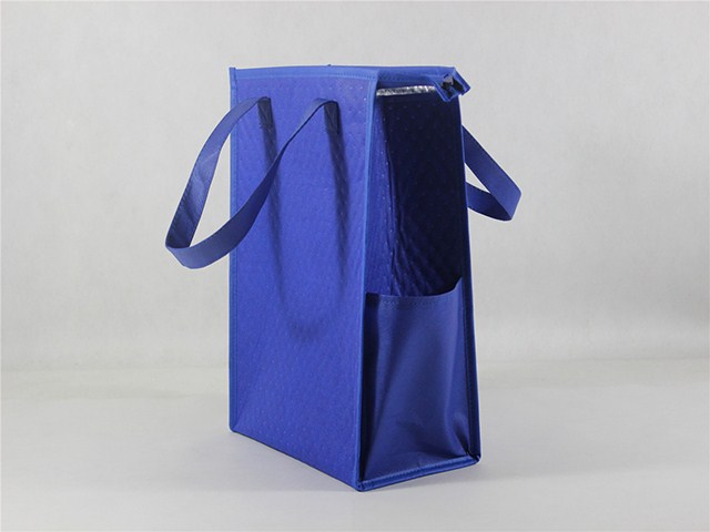 Cooler bag