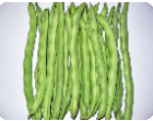 String Beans  02