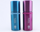 Vacuum Flask