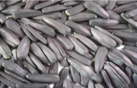 Black Sunflower Seeds