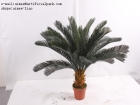 Artificial Sago Cycas