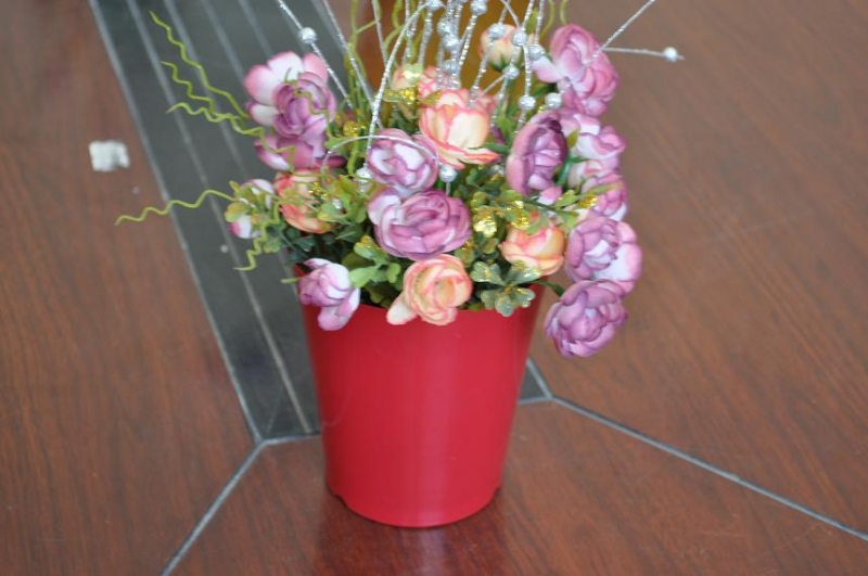 Plastic Flower Pot