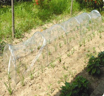 Green Houses