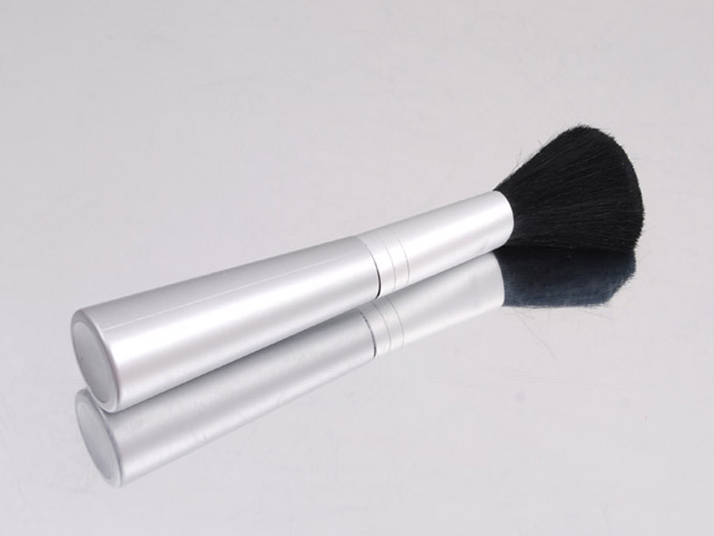 Make Up Brush