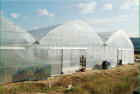 Agricultural Greenhouses   FM8000EM-1232