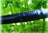 Drip Irrigation Hose