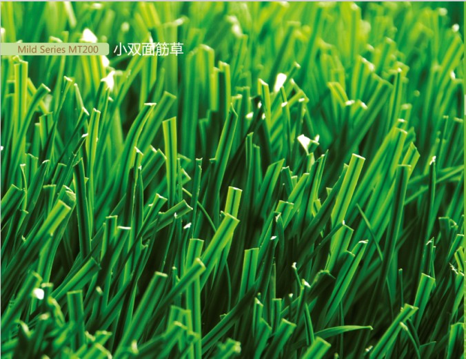 Artificial Turf