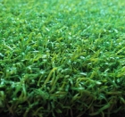 Artificial Turf