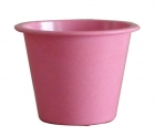 Flower Pot