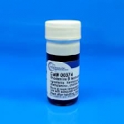 Rhodamine B isothiocyanate