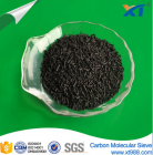 Carbon Molecular Sieve