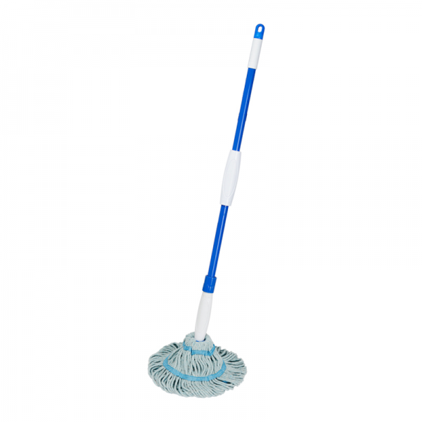 Water mop