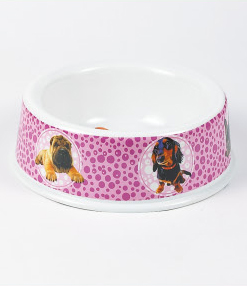 Pet Bowls & Feeders