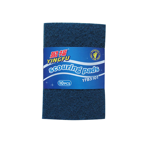 Scouring Pad