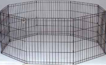 Exercise Pen