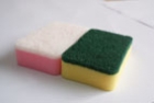 Sponge Scourer