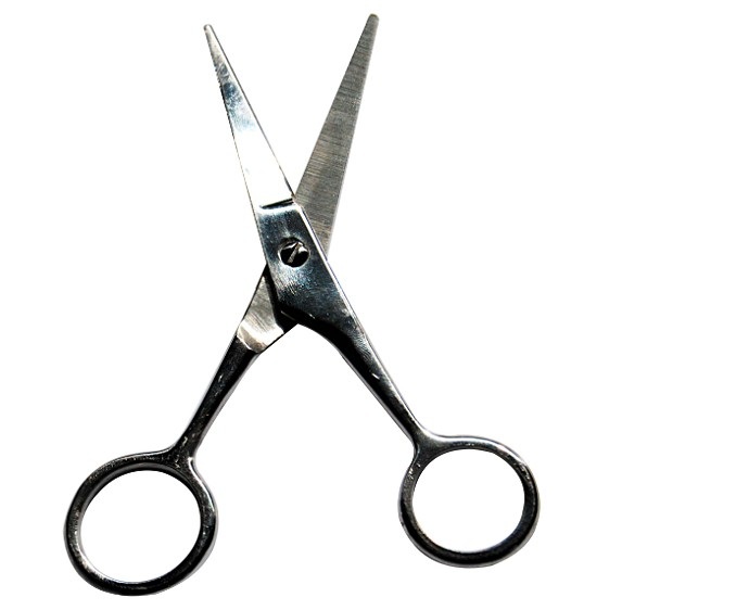 Pet scissors