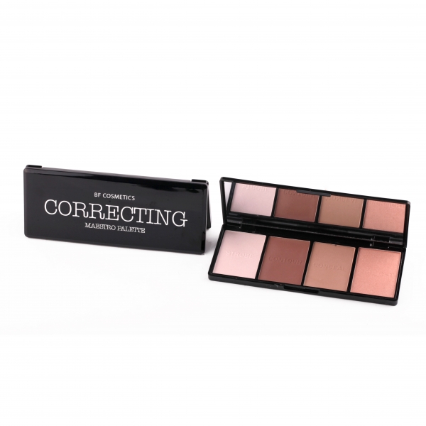 CORRECTING MAESTRO PALETTE