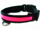 LED Pet Collar