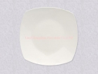 Porcelain Plates