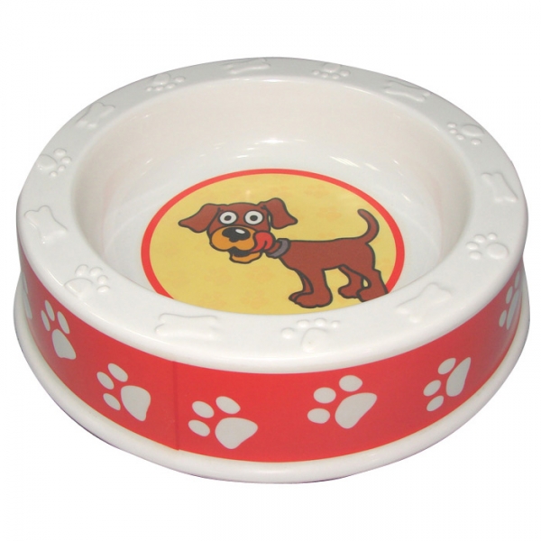 Pet Bowls & Feeders